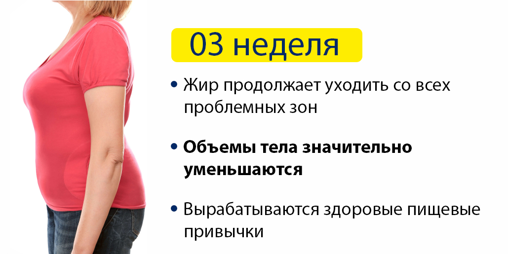 section-2-3